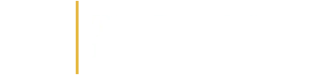 The Board Store Logo